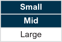 Market Capitalization: Small